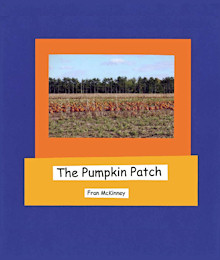 The Pumpkin Patch